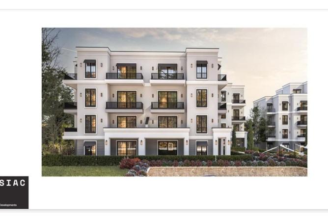 8028426 - Property Image 3