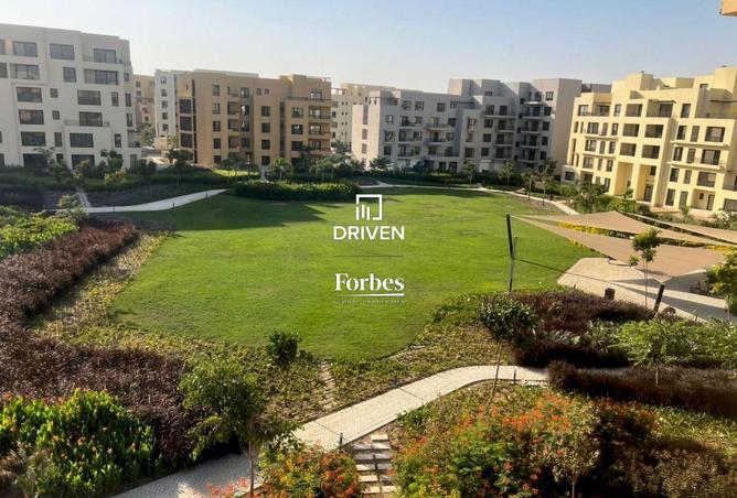 8066152 - الصورة الرئيسية للعقار