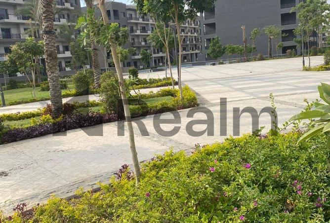 8284335 - Property Image 2