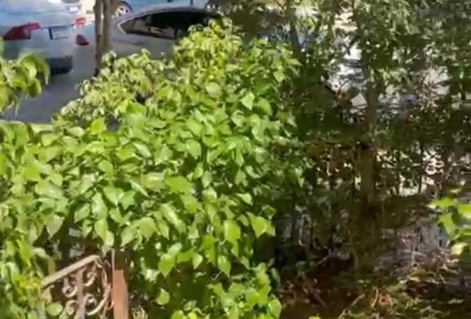 8486438 - صورة العقار 2