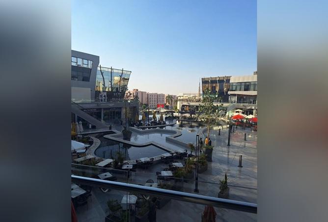 8179350 - Property Image 3