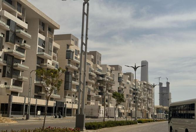 8453819 - Property Image 3