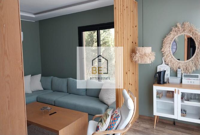 8154968 - Property Image 2