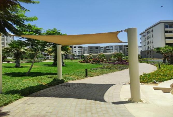 7933792 - Property Image 3