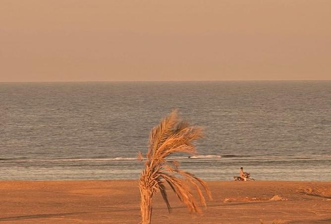 8258521 - صورة العقار 3