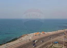 شقة - 3 غرف نوم - 3 حمامات للبيع في شارع محمد شفيق غربال - كامب شيزار - حي وسط - الاسكندرية