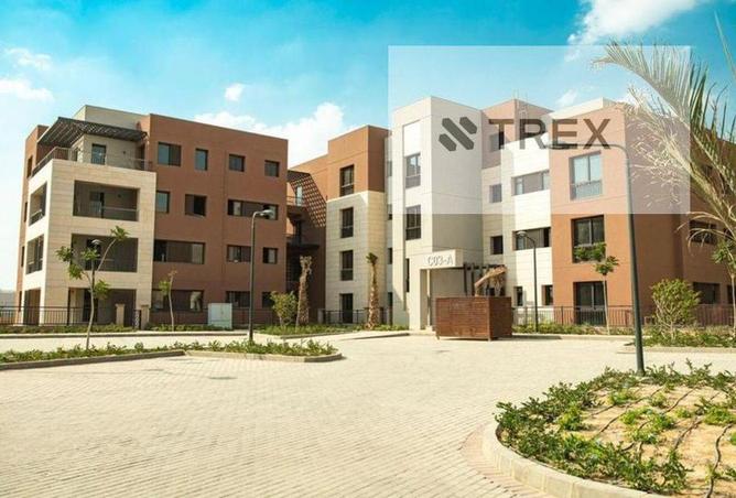 7028637 - Property Image 2