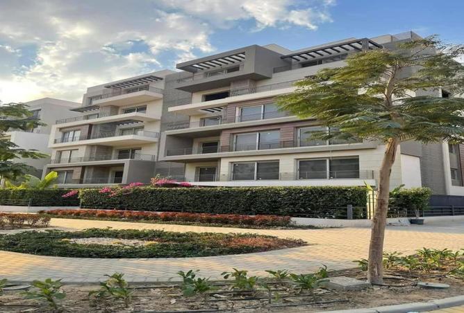 8206403 - Property Image 3