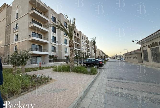 8117967 - Property Image 3