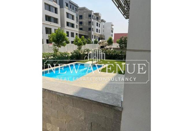 8276624 - Property Image 3