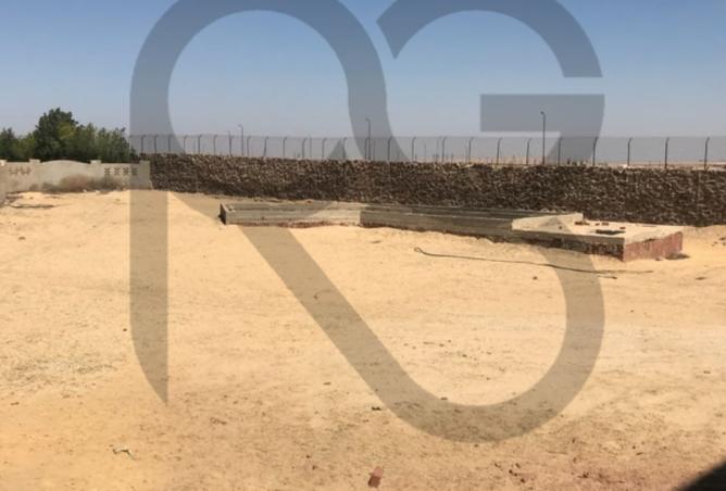 8373997 - صورة العقار 3