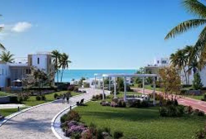 8320955 - صورة العقار 2