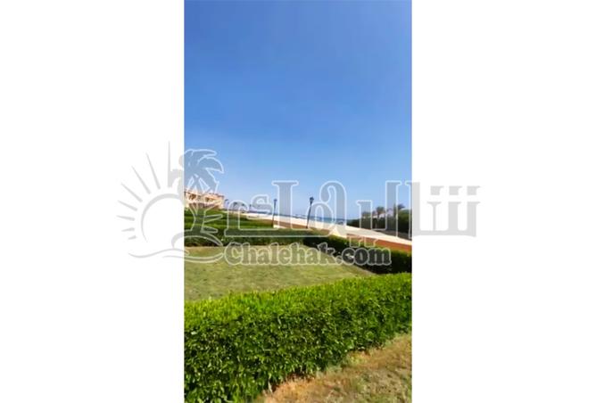8126369 - صورة العقار 3