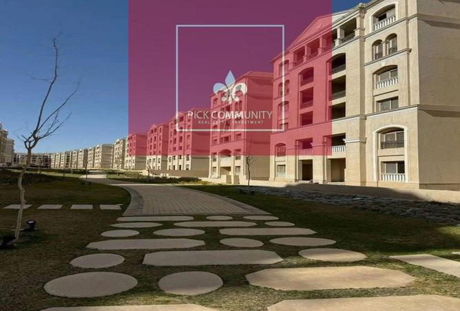 8295877 - Property Image 2