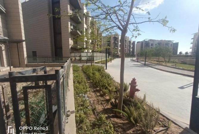 8002144 - Property Main Image