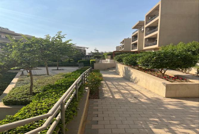 7990436 - صورة العقار 2