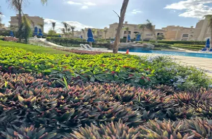 Apartment - 3 Bedrooms - 3 Bathrooms for sale in El Patio Oro - 5th Settlement Compounds - The 5th Settlement - New Cairo City - Cairo Apartment - 3 Bedrooms - 3 Bathrooms for sale in El Patio Oro - 5th Settlement Compounds - The 5th Settlement - New Cairo City - Cairo