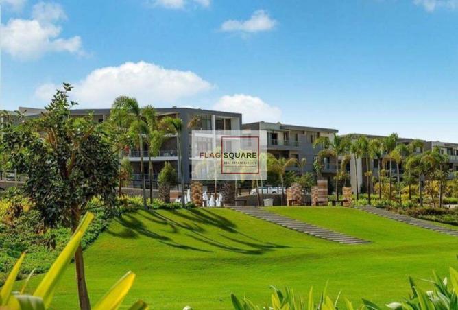 8162818 - صورة العقار 2