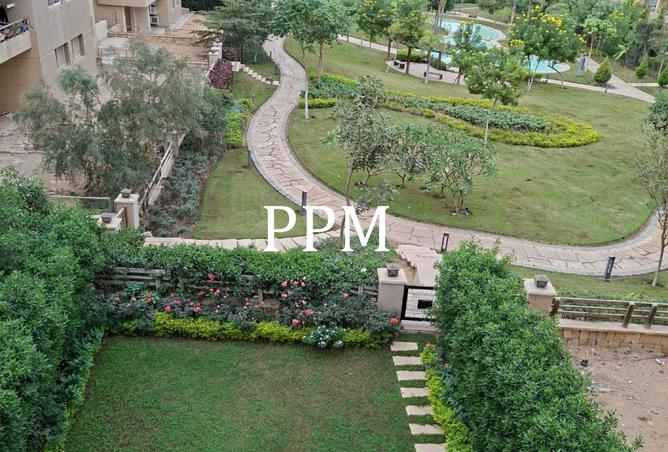 8365081 - صورة العقار 3