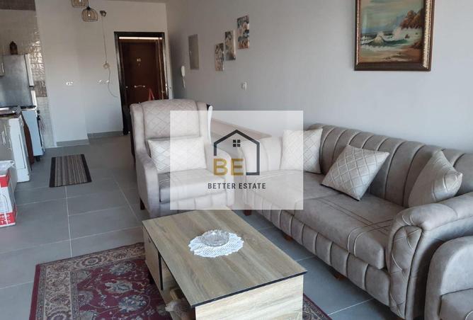 7949426 - Property Image 3