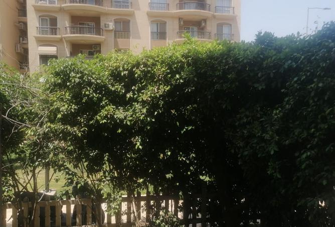 8151157 - صورة العقار 3