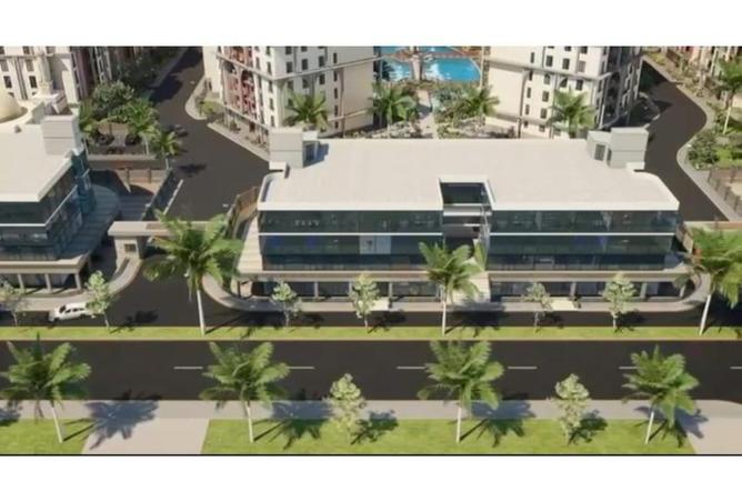 8098186 - Property Image 2