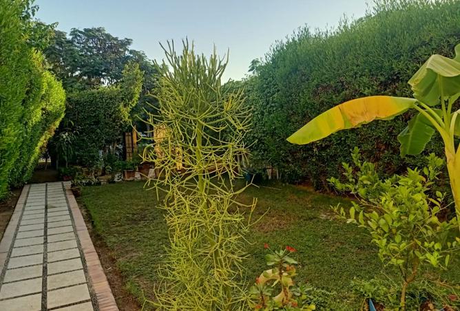 8093673 - Property Image 3