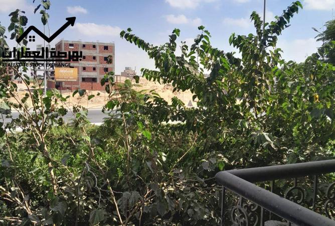 8061678 - صورة العقار 3