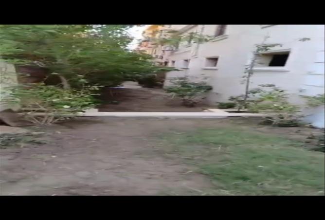 7987414 - صورة العقار 2