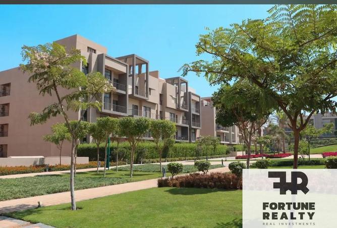 8471567 - Property Image 2