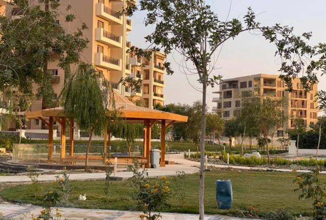 8148655 - الصورة الرئيسية للعقار
