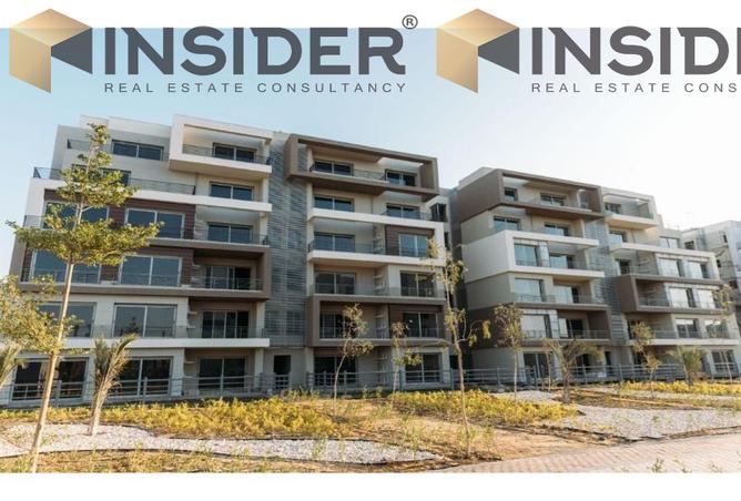 7976996 - Property Image 2