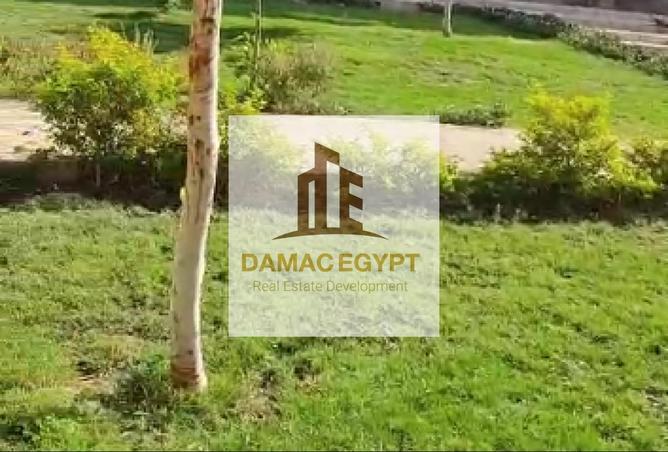 8024272 - الصورة الرئيسية للعقار