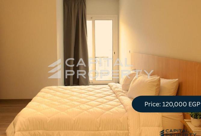 8155762 - Property Image 2