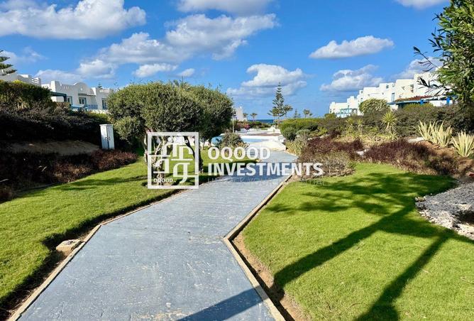 8269462 - Property Image 3