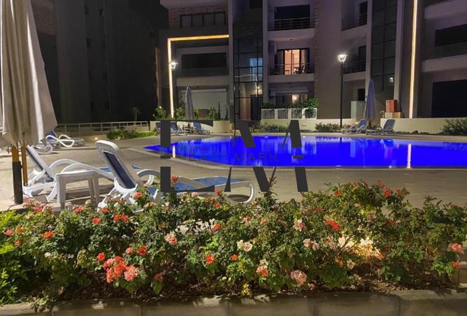 8308729 - Property Image 2