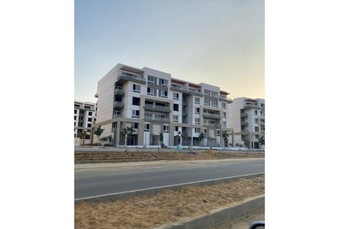 7928490 - Property Image 3