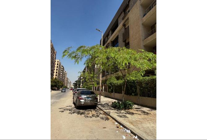 8048466 - Property Image 2