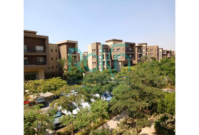 7994557 - Property Main Image