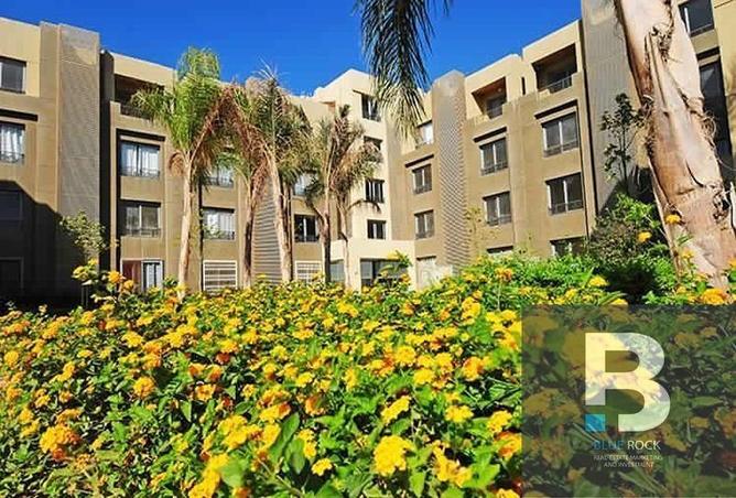 7966953 - صورة العقار 3