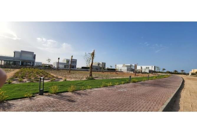 8015738 - صورة العقار 3