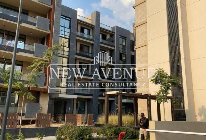 7913566 - Property Image 3