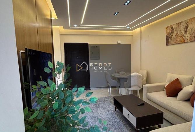 8381893 - Property Image 2