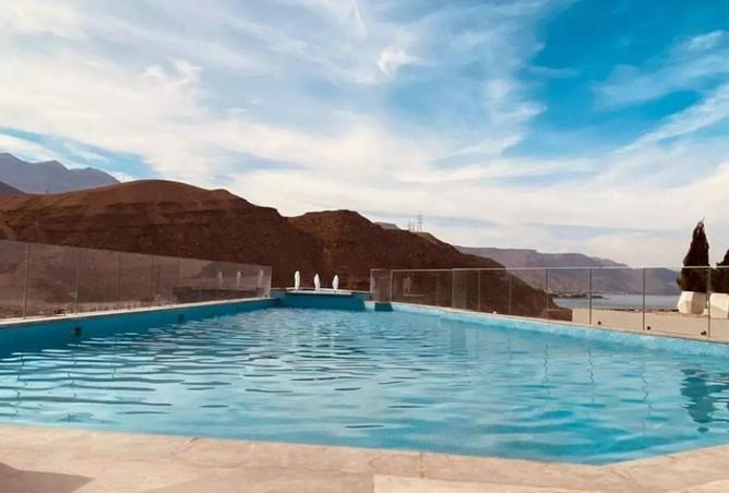 8240121 - Property Image 3