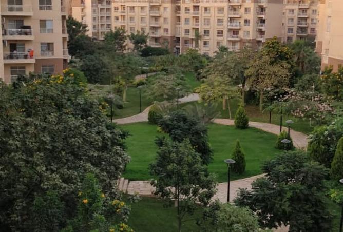 8261258 - الصورة الرئيسية للعقار