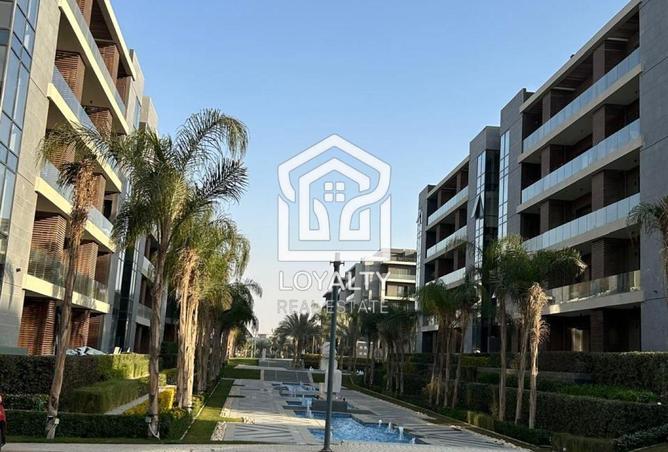 7954865 - صورة العقار 3