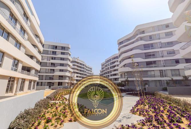 7906292 - Property Image 3