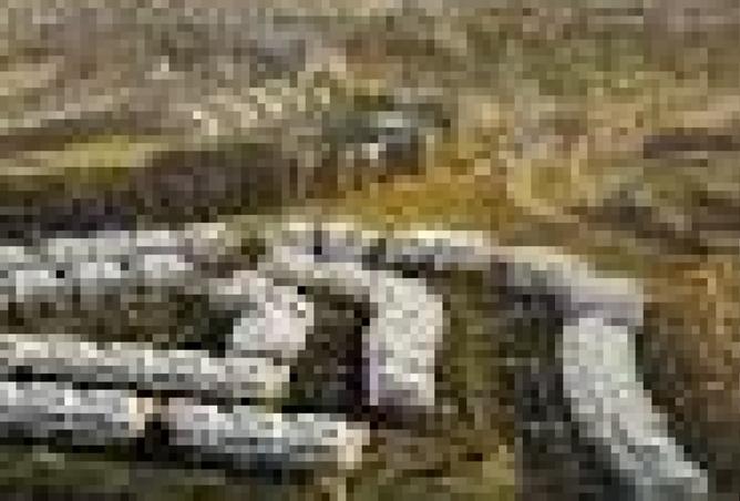 8375952 - صورة العقار 3