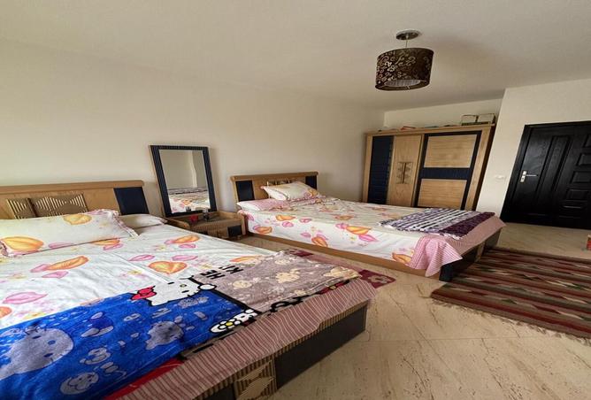 8397406 - Property Image 3