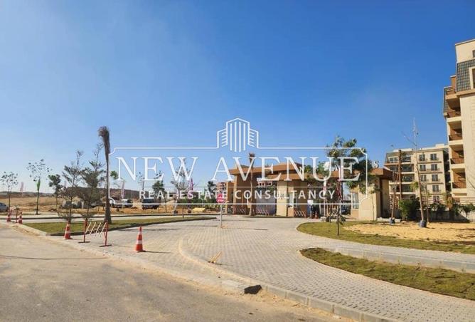 8425814 - Property Image 3